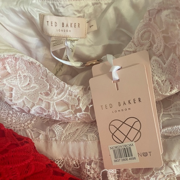 NWT Ted Baker Valens Mixed Lace Dress Pale Pink 1 - Picture 4 of 6